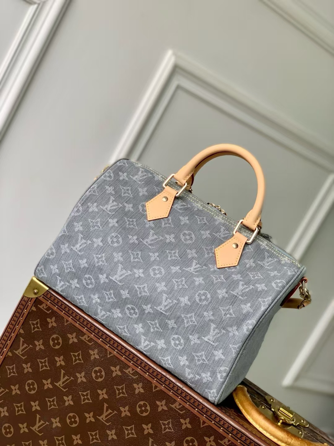 LV Speedy Soft 30 M13344 30x21x17cm